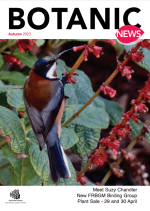 2023 BN Autumn cover