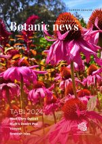 2024 Summer Bot News