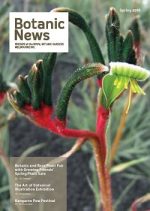 BN Spring 2016 webx250