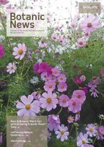 BN Spring 2017 Webx250