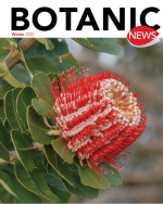 Bot-News-image