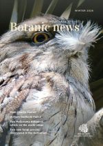 COVER BotanicNews_Winter26