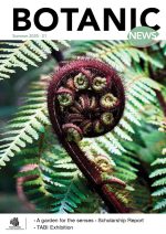 Cover BotanicNews Summer 2020-21