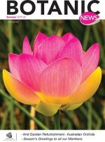aaBotanicNews Summer 2019-20x250