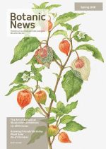 zBN Spring 2018 front